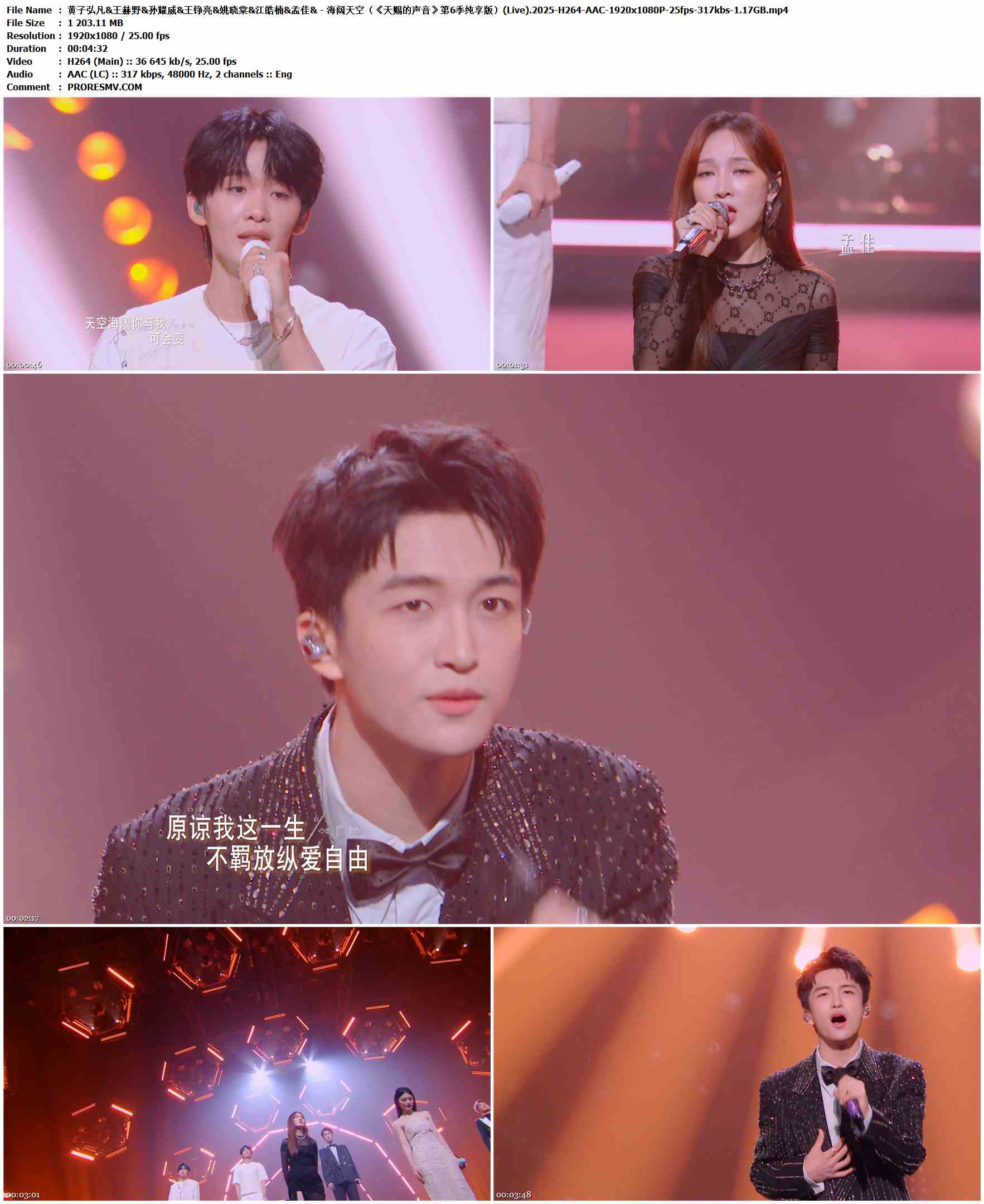 黄子弘凡&王赫野&孙耀威&王铮亮&姚晓棠&江皓楠&孟佳 - 海阔天空（《天赐的声音》第6季纯享版）(Live).2025-H264-AAC-1920x1080P-25fps-317kbs-1.17GB官方MV_高清MV